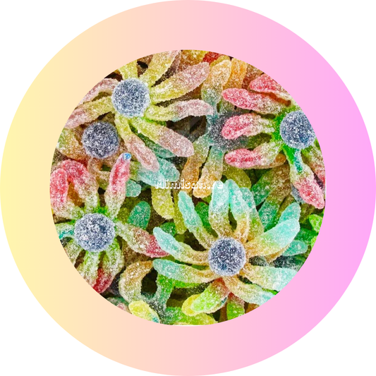 Poulpes  90g - Fini